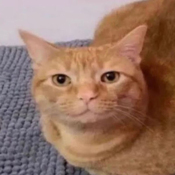 humorousshrimp
